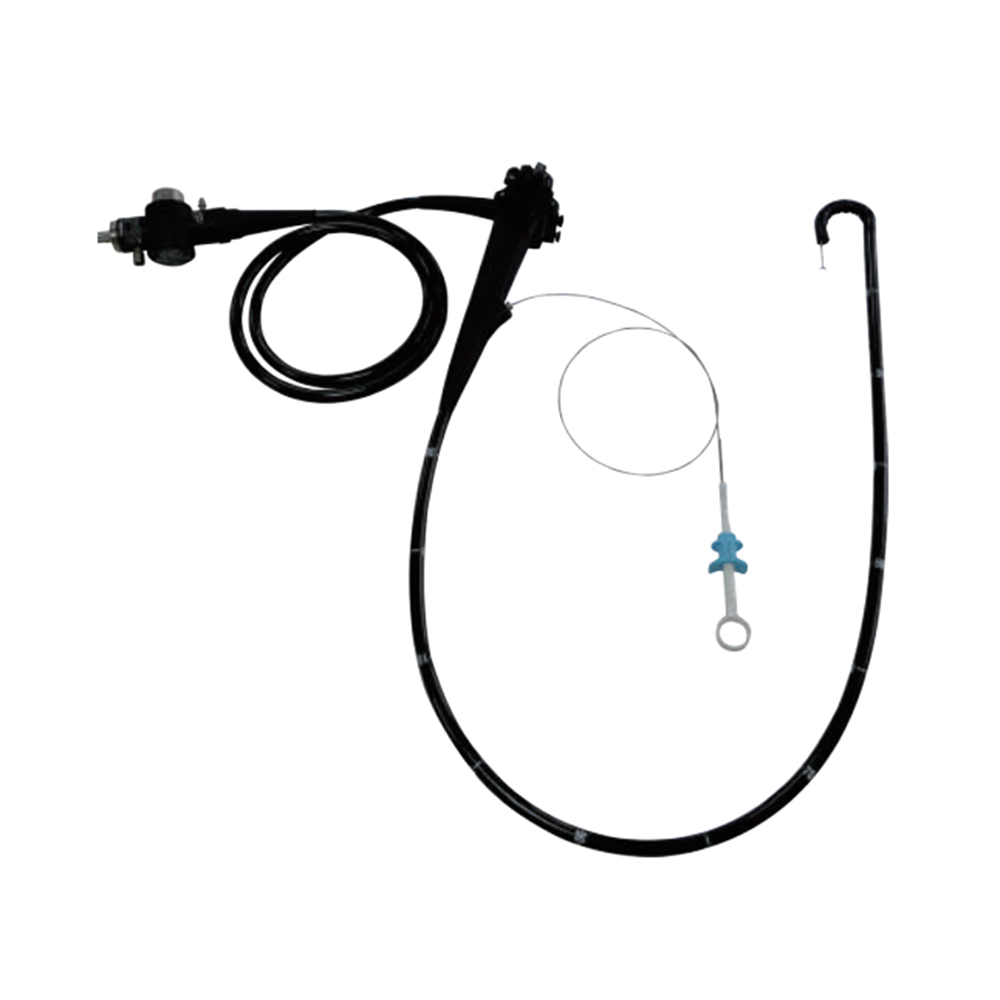 LTEG10 LTEG11 Video Gastroscope