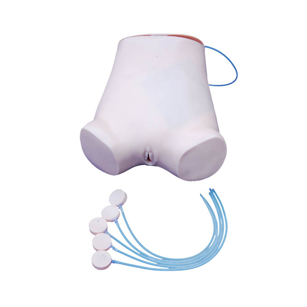 LTM443 Abdominal Puncture Model