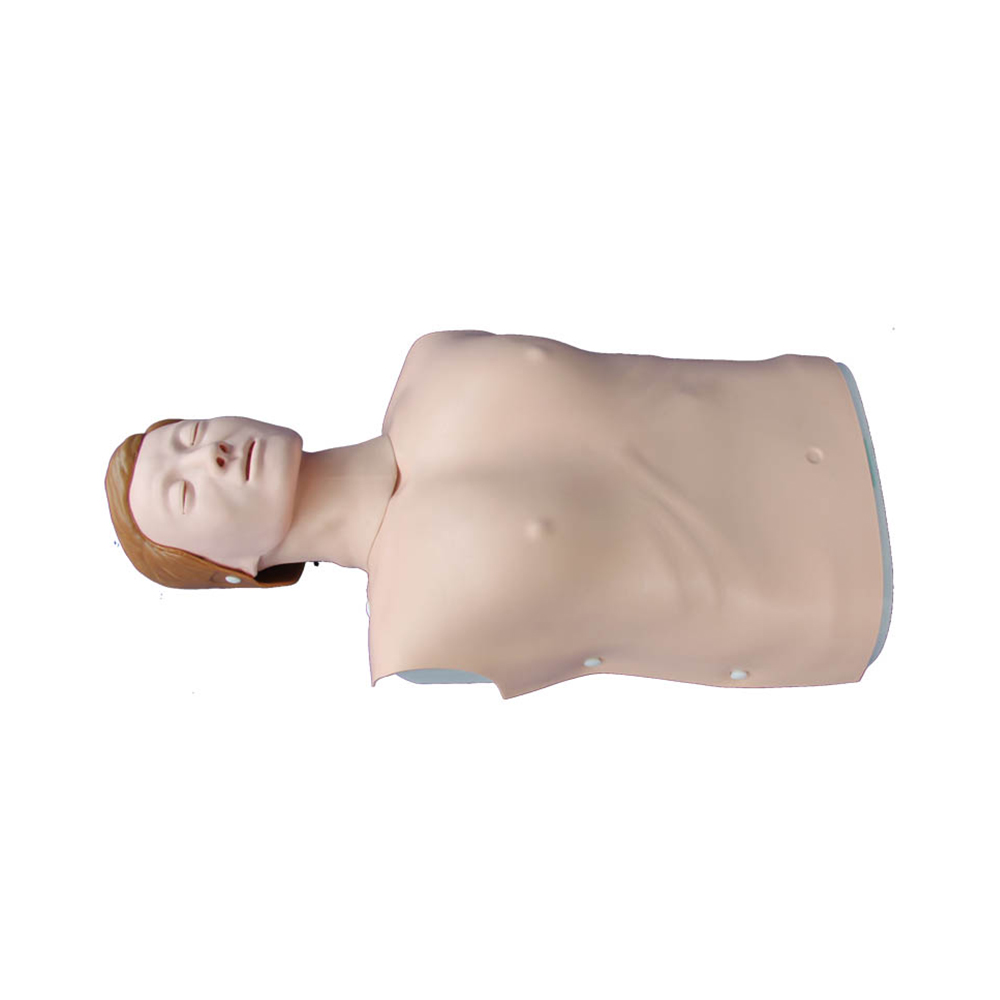 LTM404C  Half Body CPR Training Model (Female)