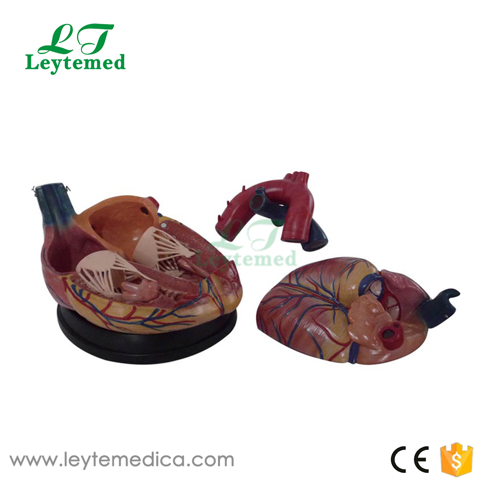 LTM307C New Style Jumbo Heart Model