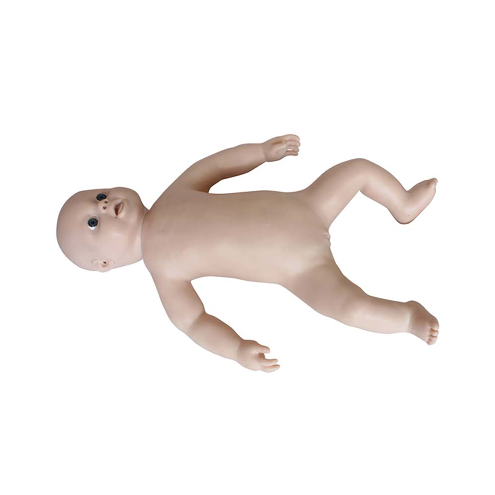 LTM409C Advanced Newborn Care Model