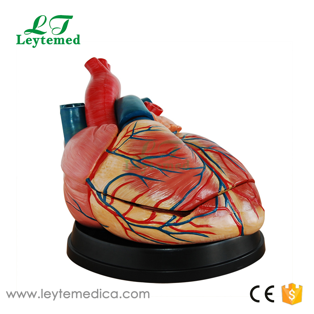 LTM307C New Style Jumbo Heart Model