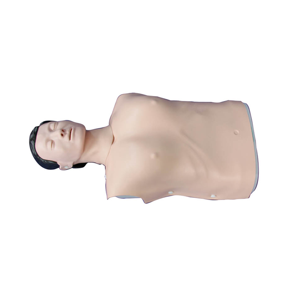 LTM404B Half Body CPR Training Model (Male)