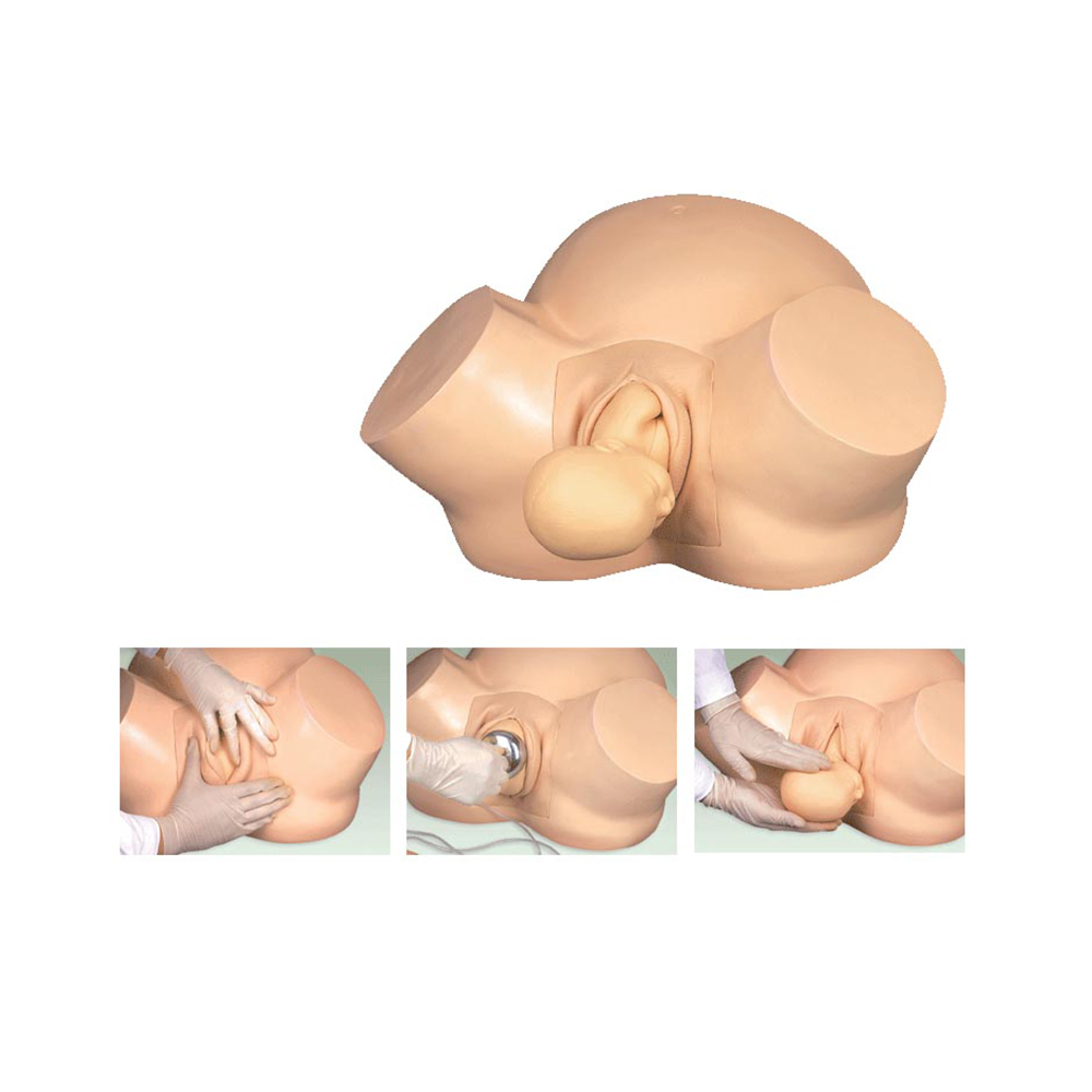 LTM415 Midwifery Training Simulator
