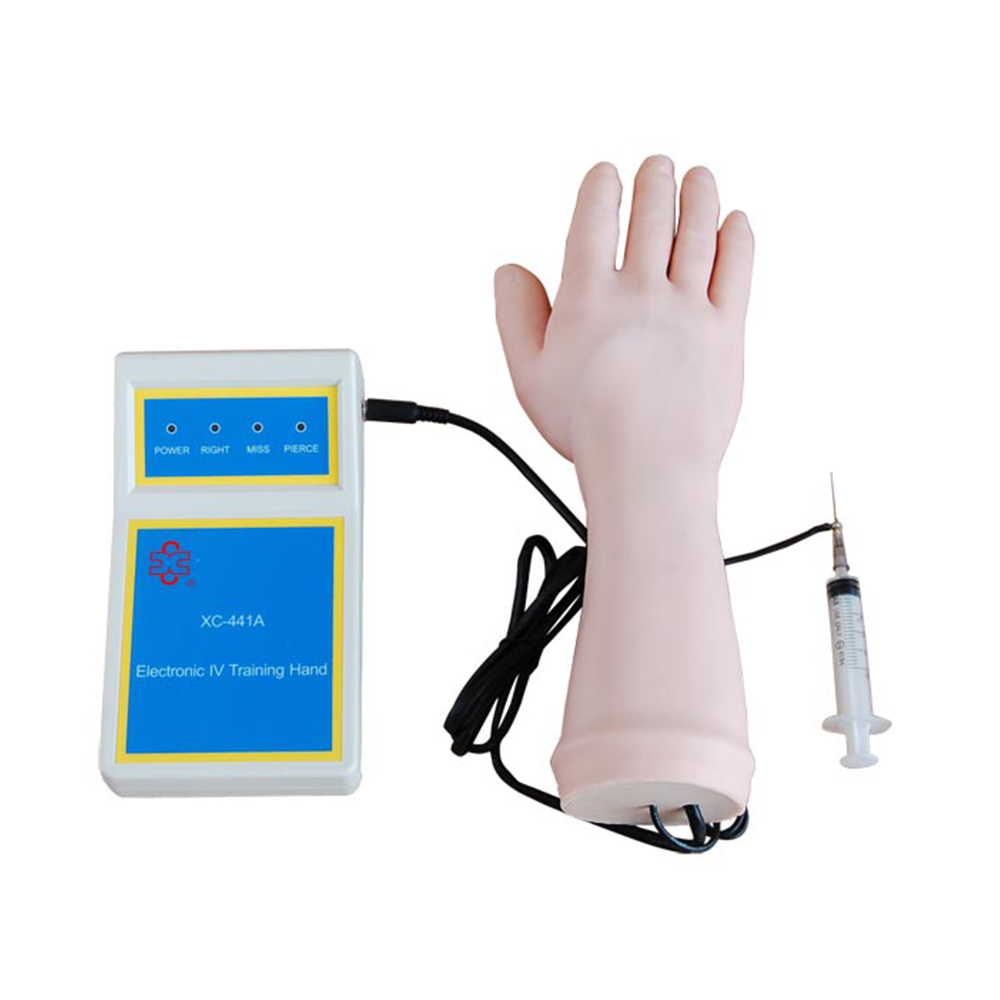 LTM424B Electronic IV Training Hand