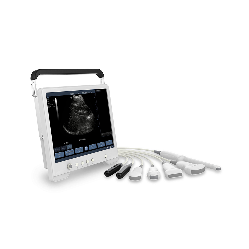 LTUB17 Touch Laptop Black and white ultrasound machine