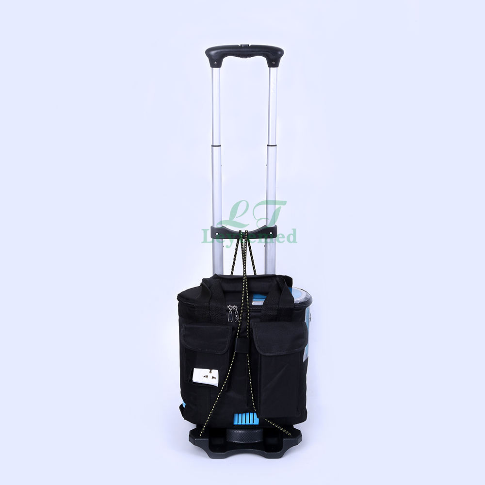 LTSK21 portable tarvel use 5L/min oxygen concentrator for car