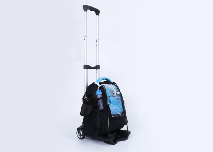 LTSK22 mini high purity car use oxygen concentrator machine for travel