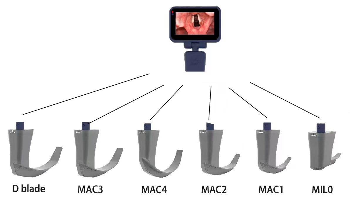 LTEV16 Reusable Video Laryngoscope